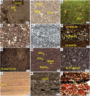 Characteristics and Control Mechanism of Lacustrine Shale Oil Reservoir in the Member 2 of Kongdian Formation in Cangdong Sag, Bohai Bay Basin, China